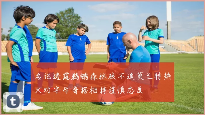 名记透露鹈鹕森林狼不追莫兰特热火对字母哥搭档持谨慎态度