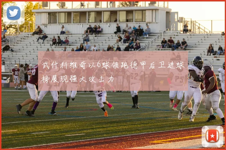 武什科维奇以6球领跑德甲后卫进球榜展现强大攻击力