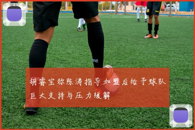 胡睿宝称陈涛指导加盟后给予球队巨大支持与压力缓解
